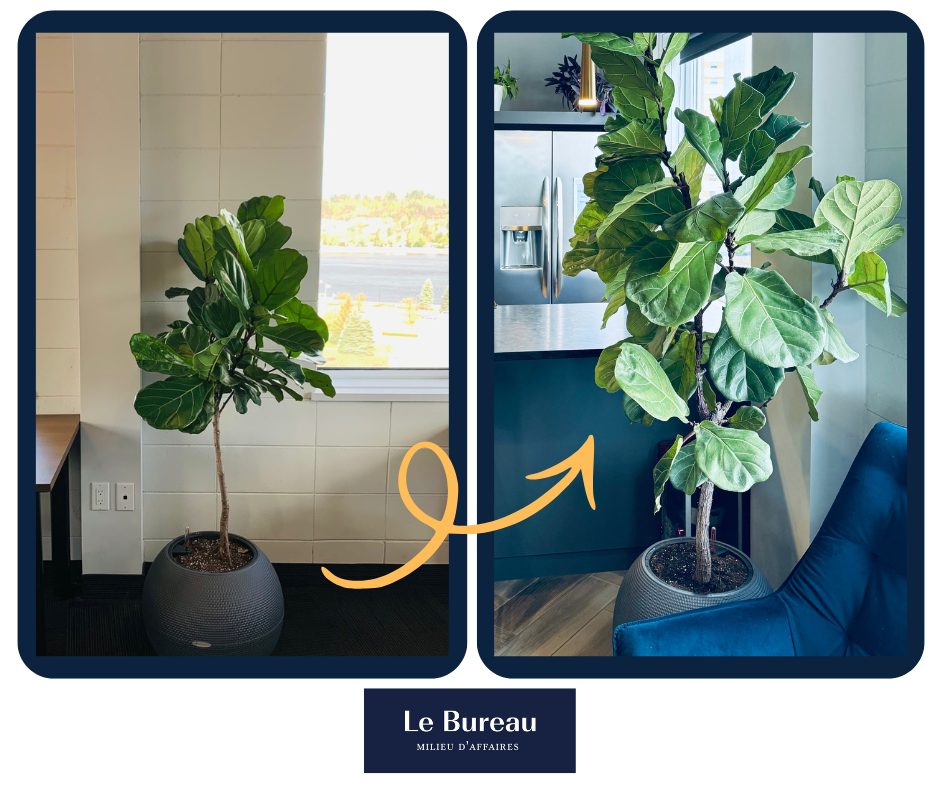 Article de blogue sur espace